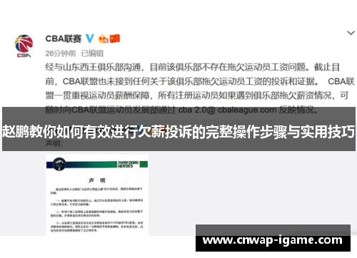 赵鹏教你如何有效进行欠薪投诉的完整操作步骤与实用技巧