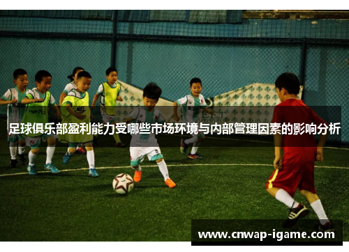 足球俱乐部盈利能力受哪些市场环境与内部管理因素的影响分析