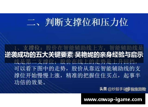 逆袭成功的五大关键要素 吴艳妮的亲身经验与启示