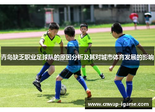 青岛缺乏职业足球队的原因分析及其对城市体育发展的影响