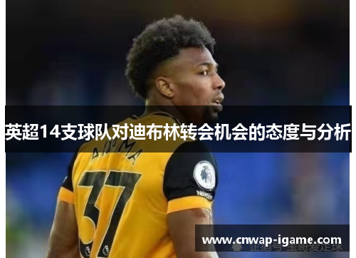 英超14支球队对迪布林转会机会的态度与分析 英超14支球队对迪布林转会机会的态度与分析